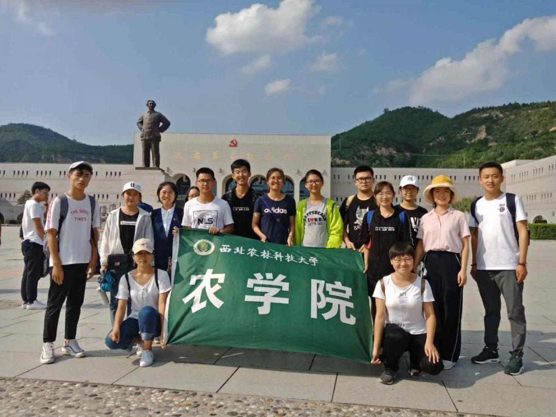 幻想纹章2.2